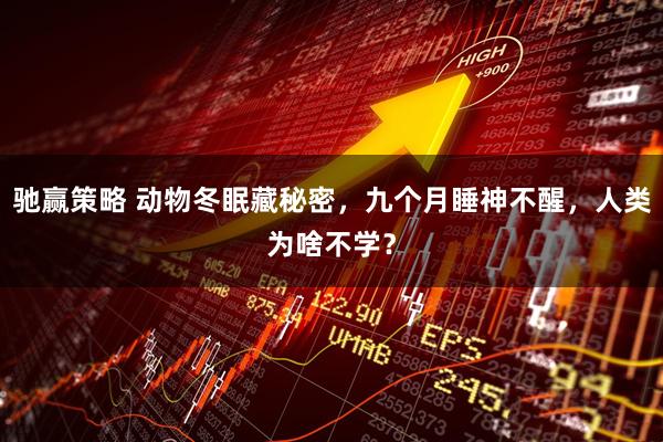 驰赢策略 动物冬眠藏秘密，九个月睡神不醒，人类为啥不学？