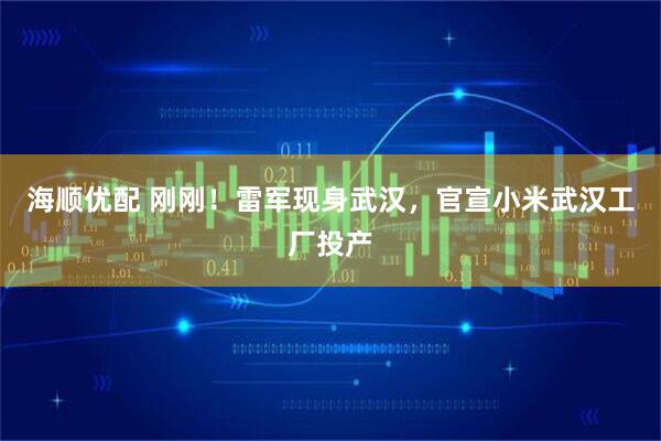 海顺优配 刚刚！雷军现身武汉，官宣小米武汉工厂投产