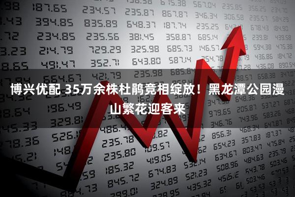 博兴优配 35万余株杜鹃竞相绽放！黑龙潭公园漫山繁花迎客来